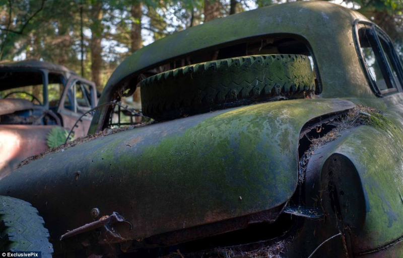Illustration for article titled Chatillon, Belgium. The Graveyard Of The Cars Of The American Soldiers Deployed In Europe, Who Didn't Take Them Back To The U.S.A.